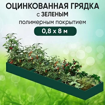 Грядка зеленая (0,8 х 8)